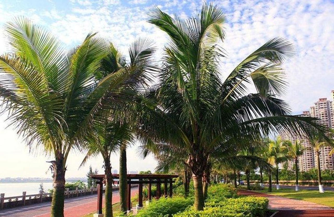 Haikou Tianyi International Hotel Exterior foto